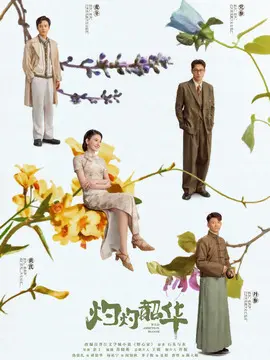 灼灼韶华剧情介绍